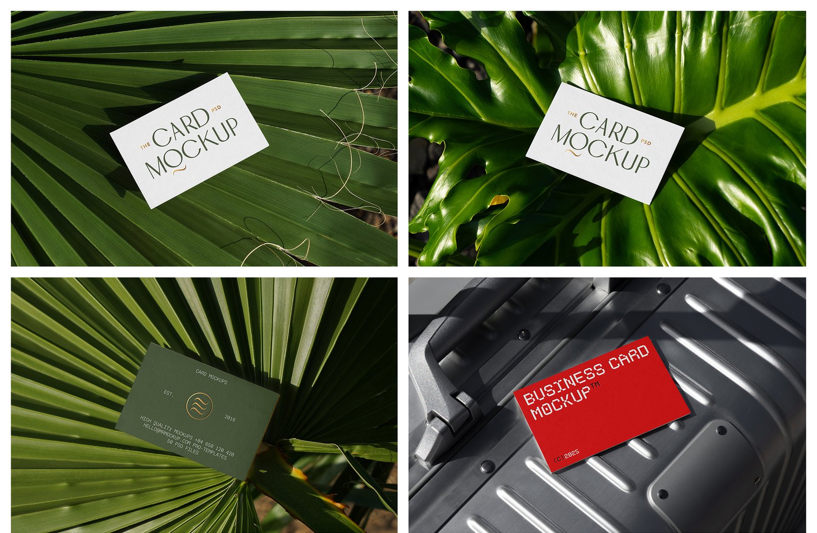 Outdoor Business Card Mockups