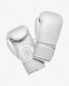 Boxing Gloves Mockup
