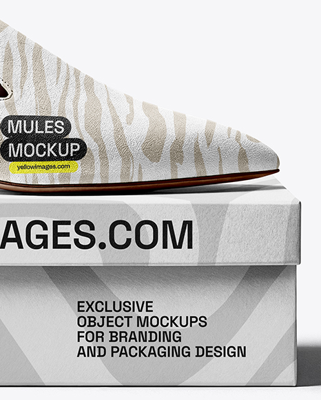 Mule on Shoe Box Mockup