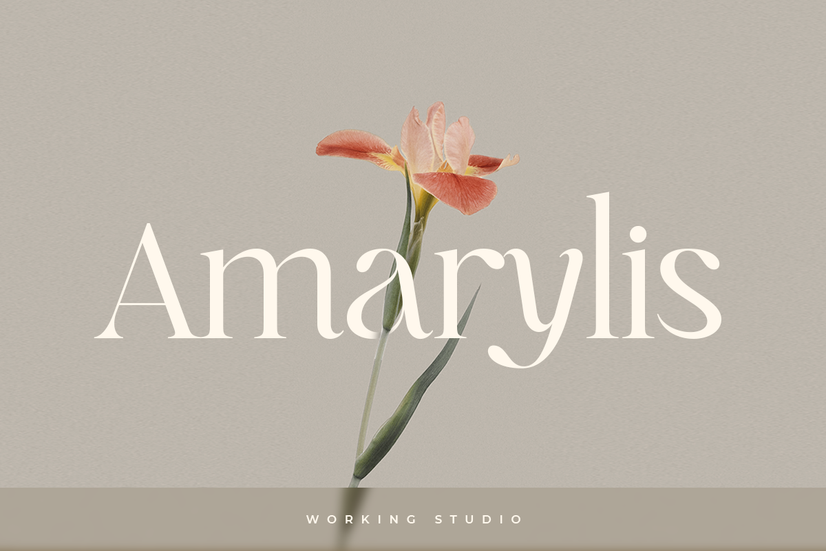 Gray - Luxury Classy Brand Font