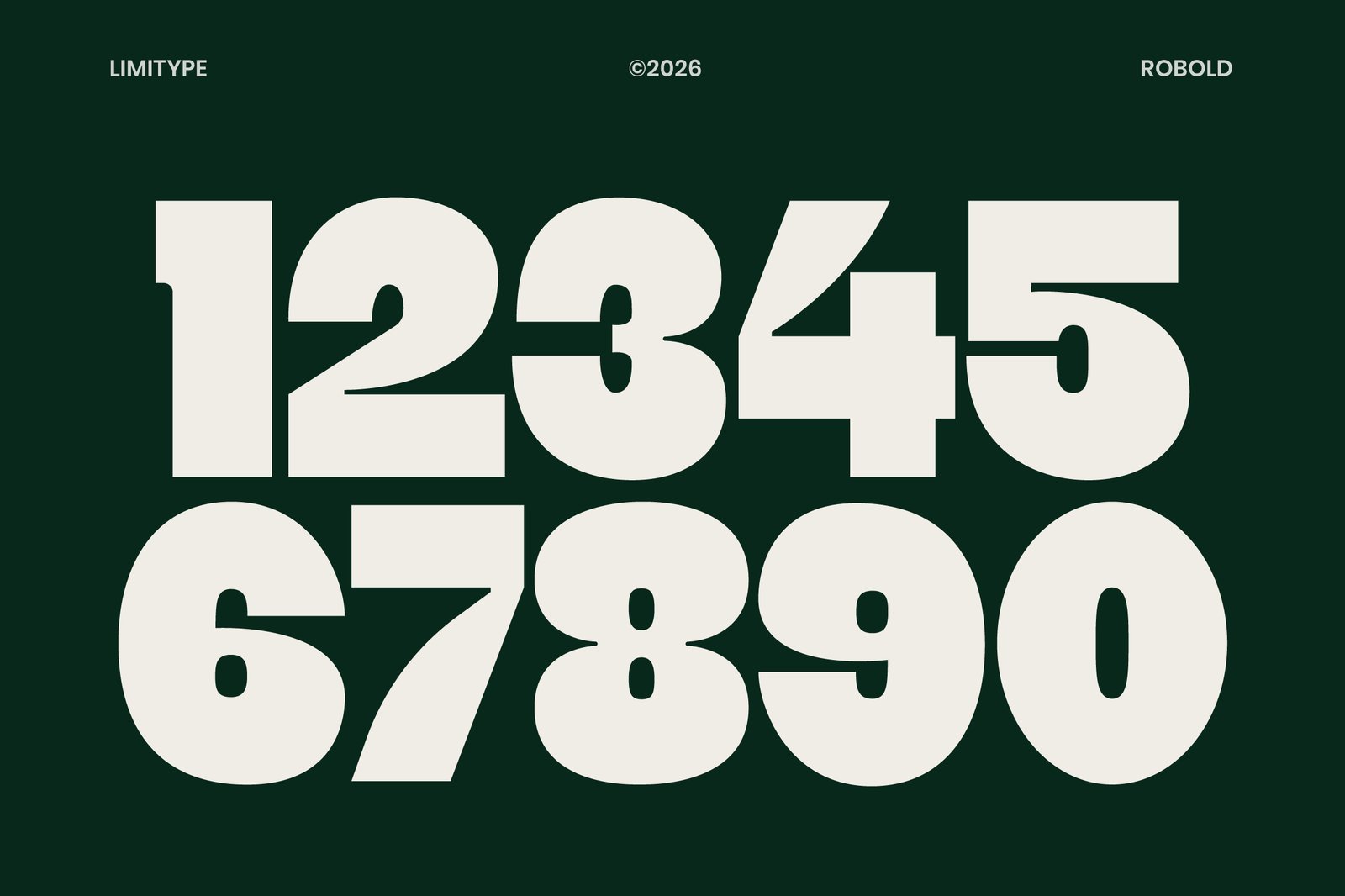 Robold - Bold Display Font