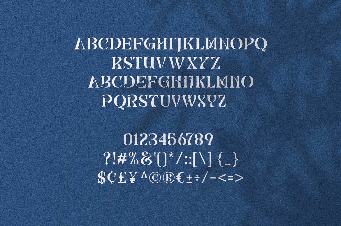 Gastro - Unique Serif Font