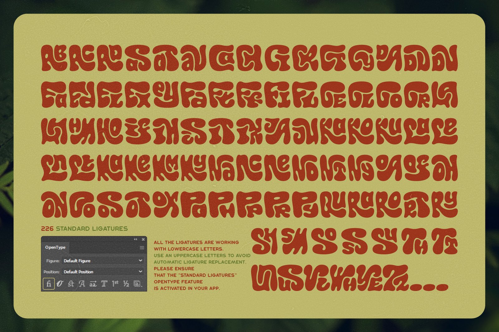 Callidryas Font