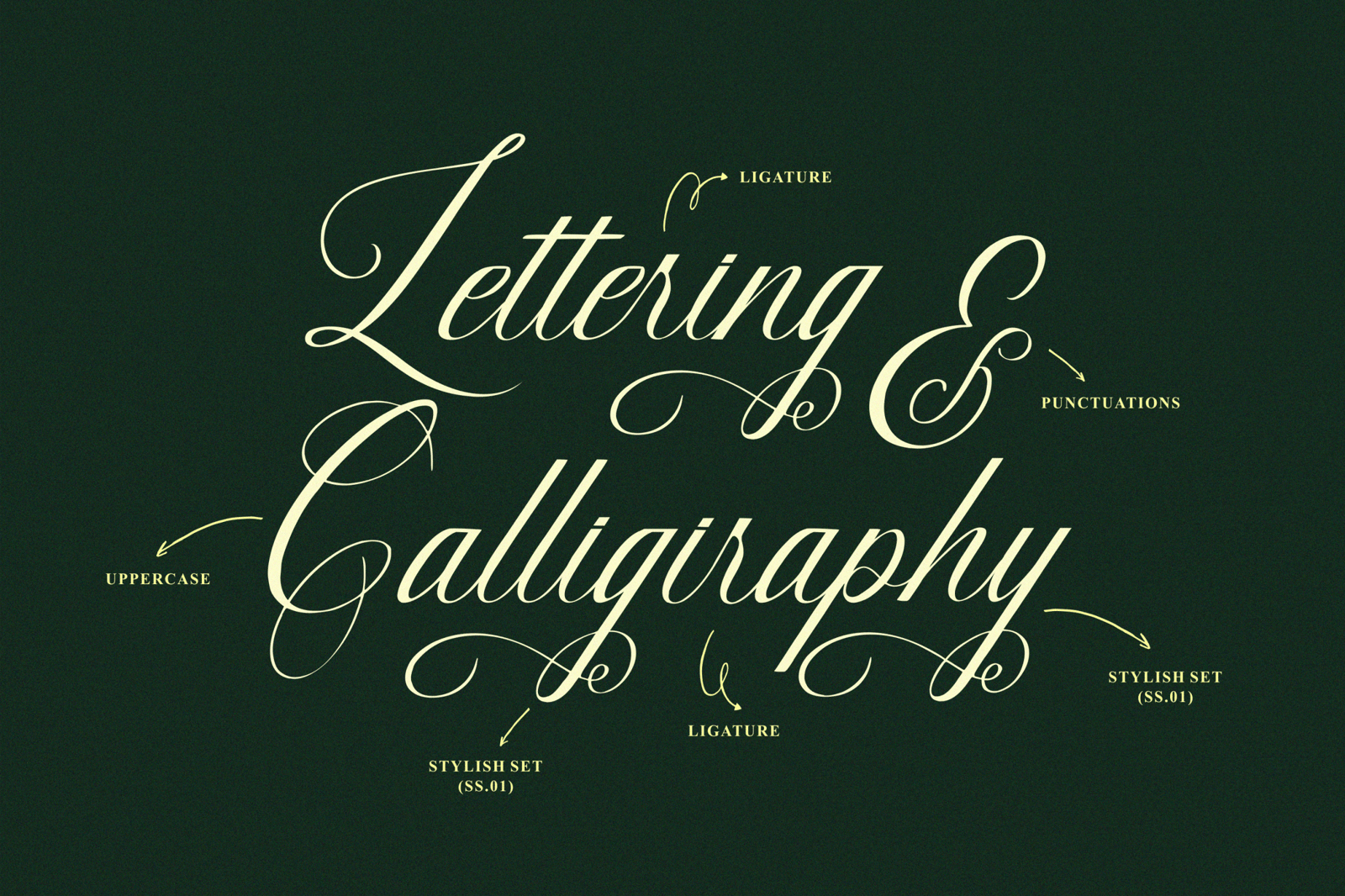 Intrapersonal - Elegance Calligraphy Script Font