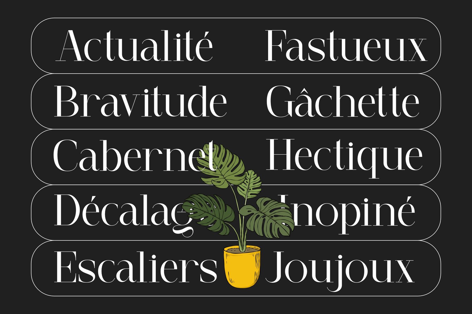 Amegro Font