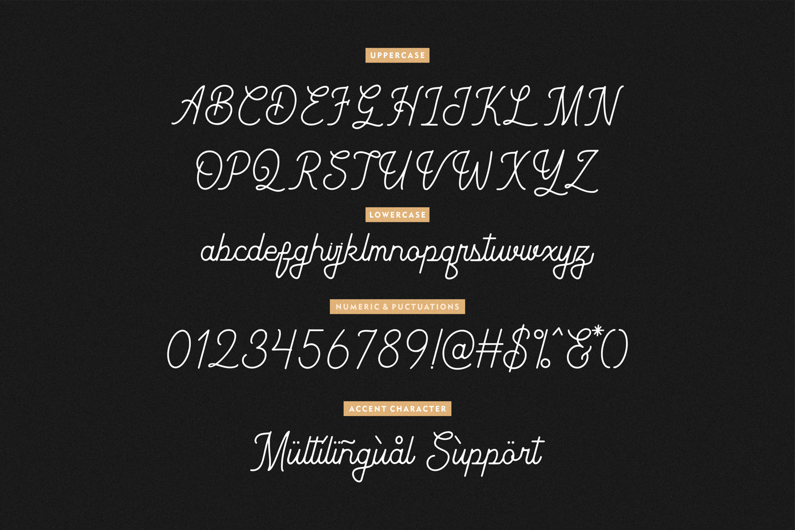 Birmingham Paradise - vintage Monoline Font