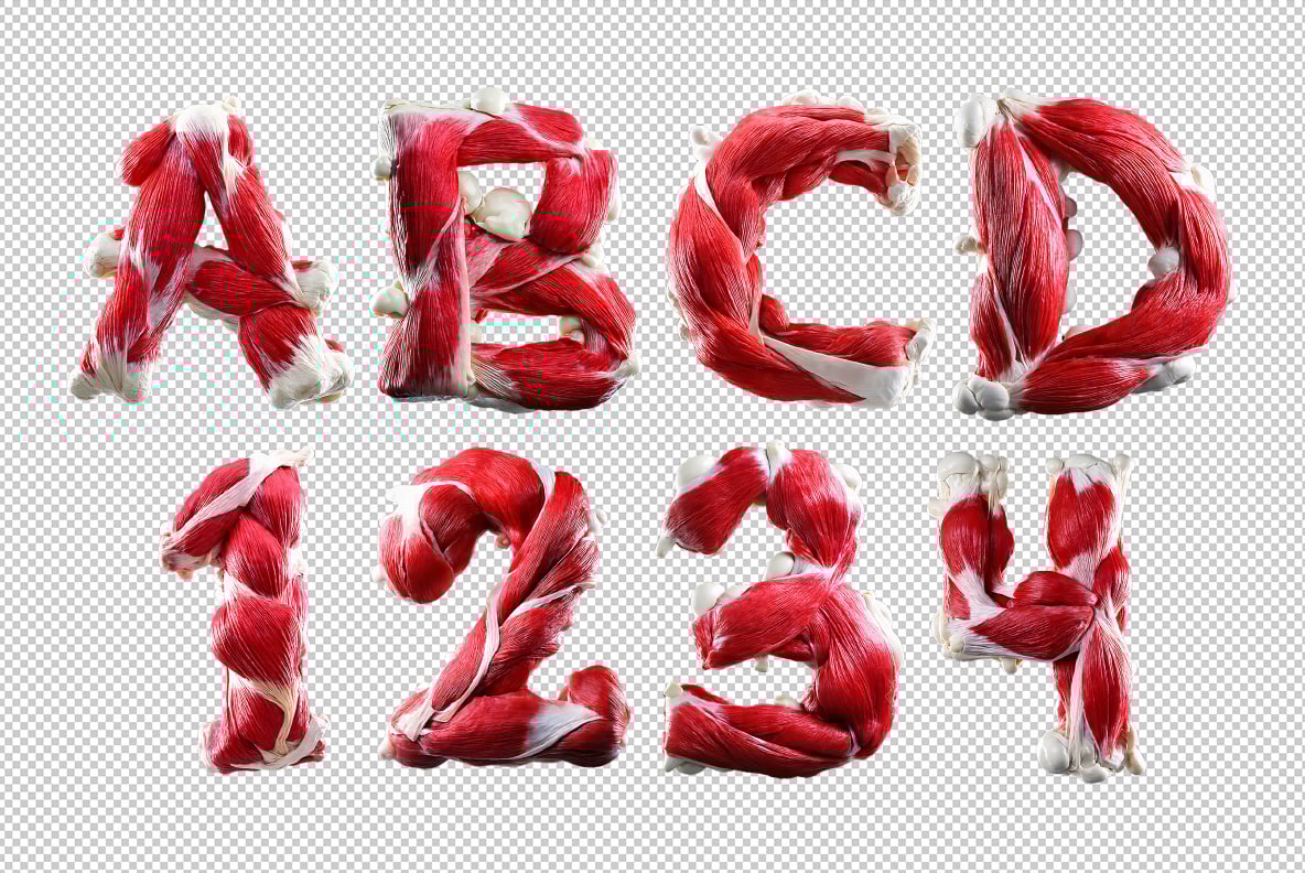Muscles Font