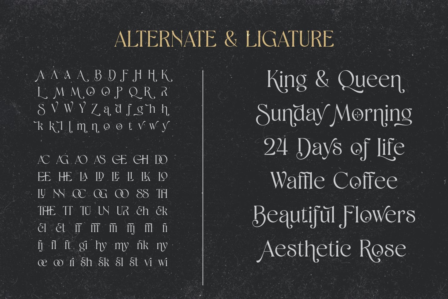 Shaena - Beautiful Serif