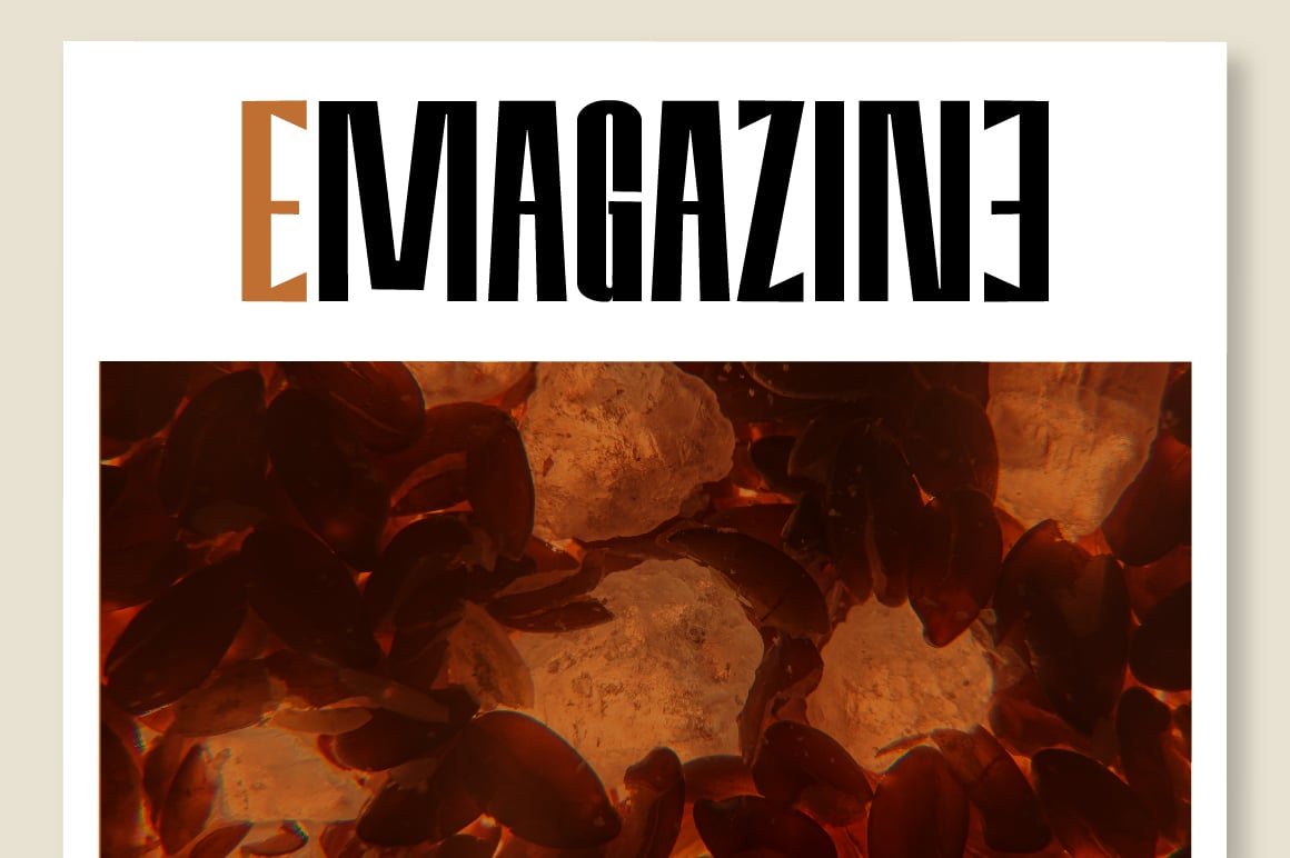 Amvergo Modern &amp; Elegant Sans Serif Family