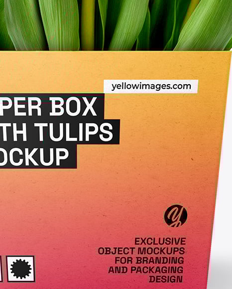 Tulip Box Mockup