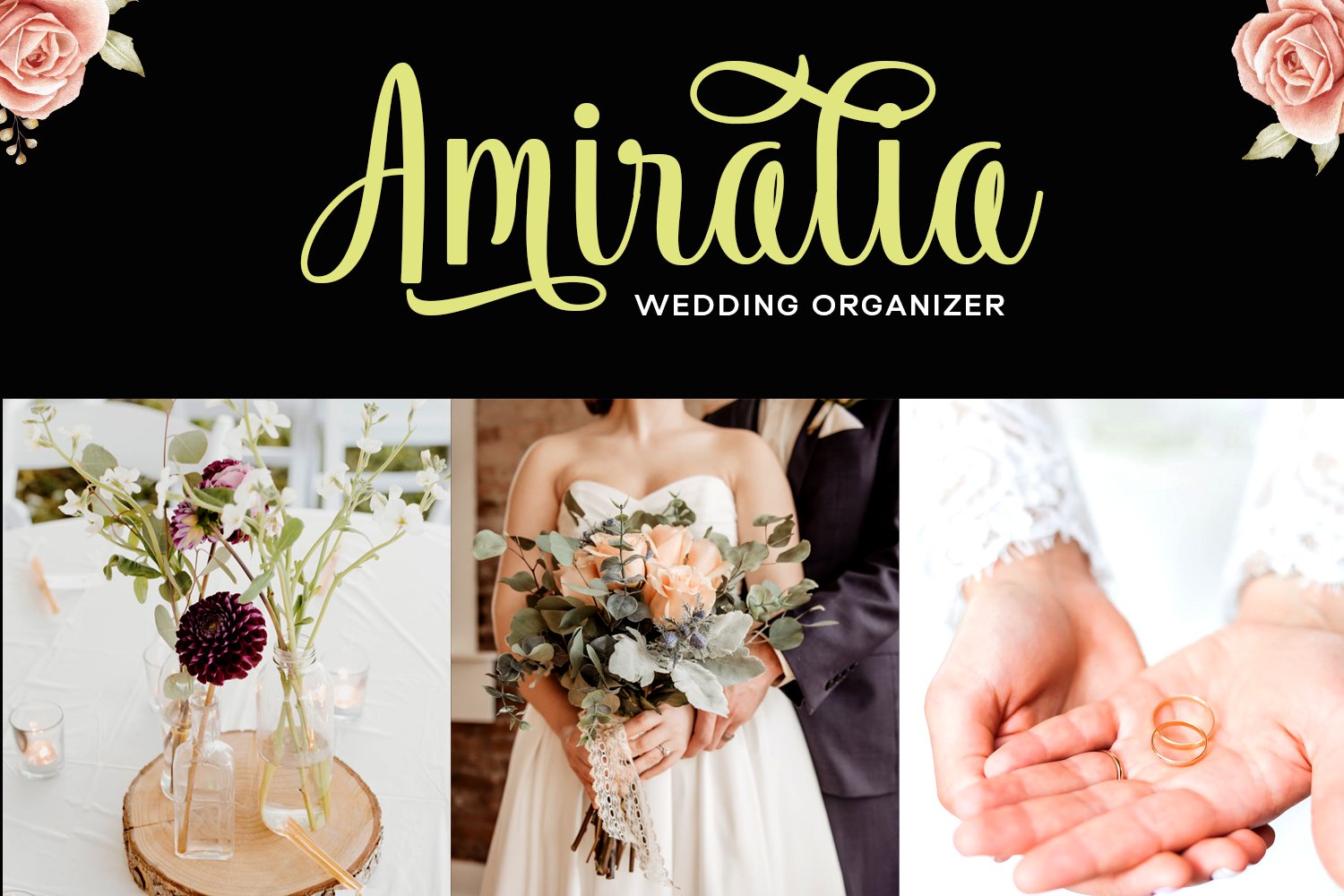 Vendila Script Font