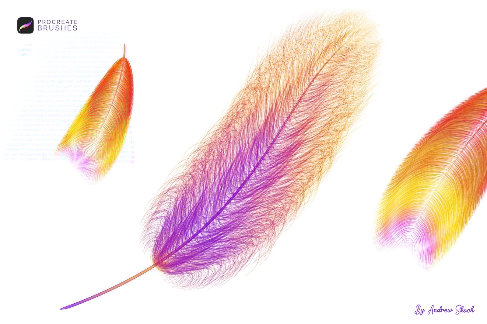 Feathers Procreate Brushes