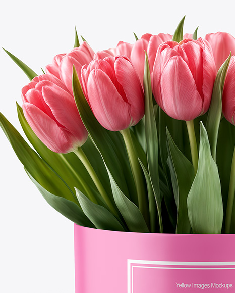 Round Flower Box Mockup