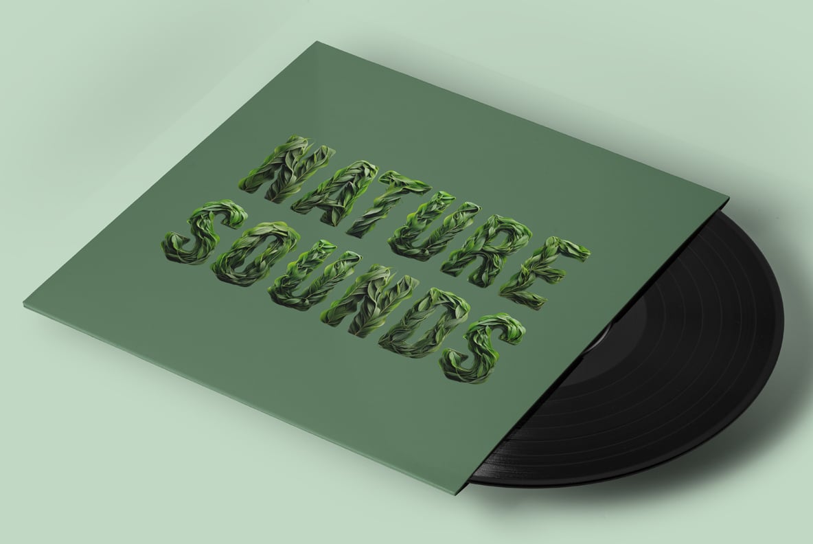 Wildleaf Font