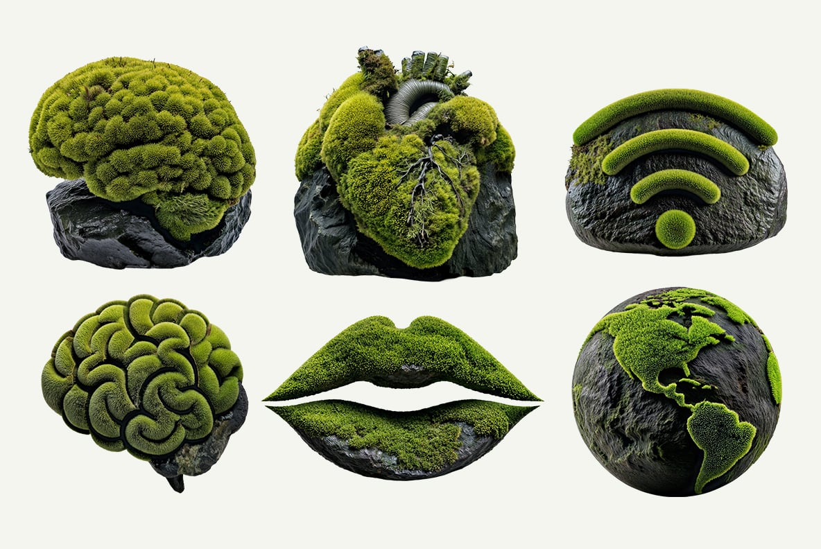 Moss on Rock Font