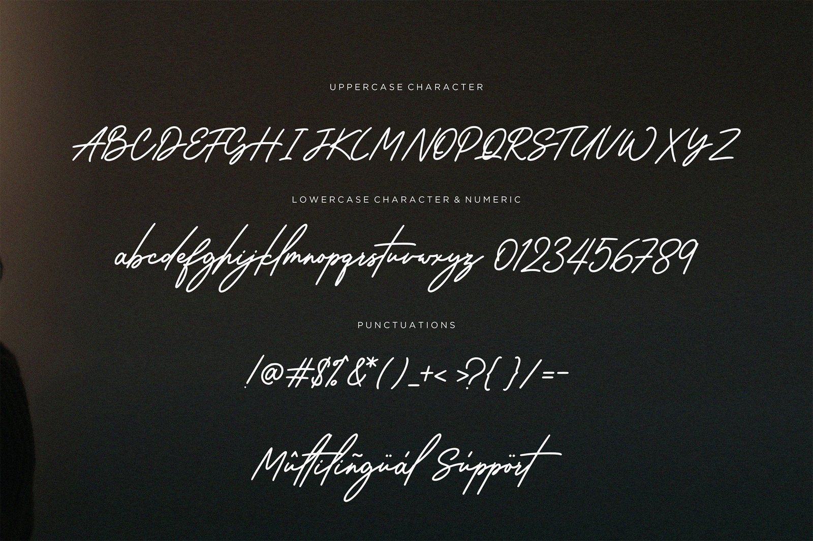 Wantsignature - Elegant Monoline signature Font