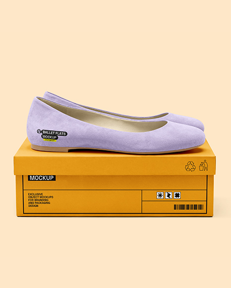 Pair of Suede Ballet Flats with Box Mockup