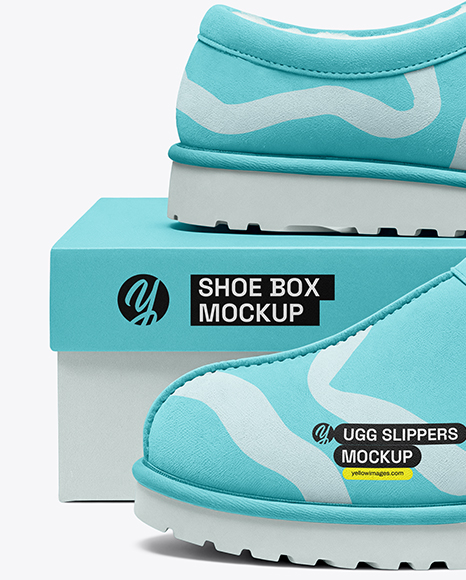 Pair of Women's UGG Slippers with Shoe Box Mockup
