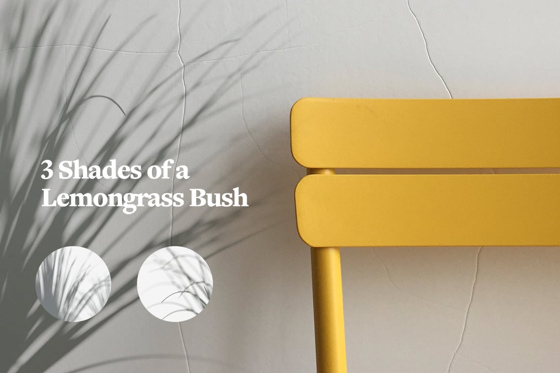 Plant Shadow Backdrops Video Bundle