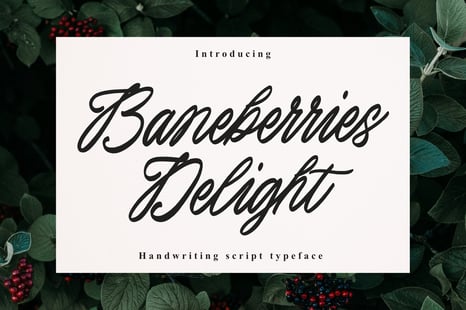 Baneberries Delight Handwriting script - Fun handwriting font
