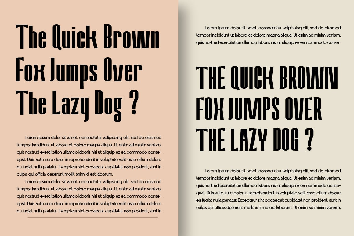 Amvergo Modern &amp; Elegant Sans Serif Family