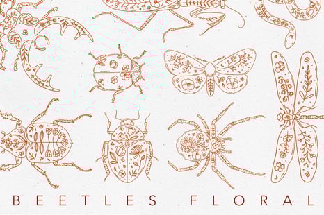 Beetles Floral - Graphics