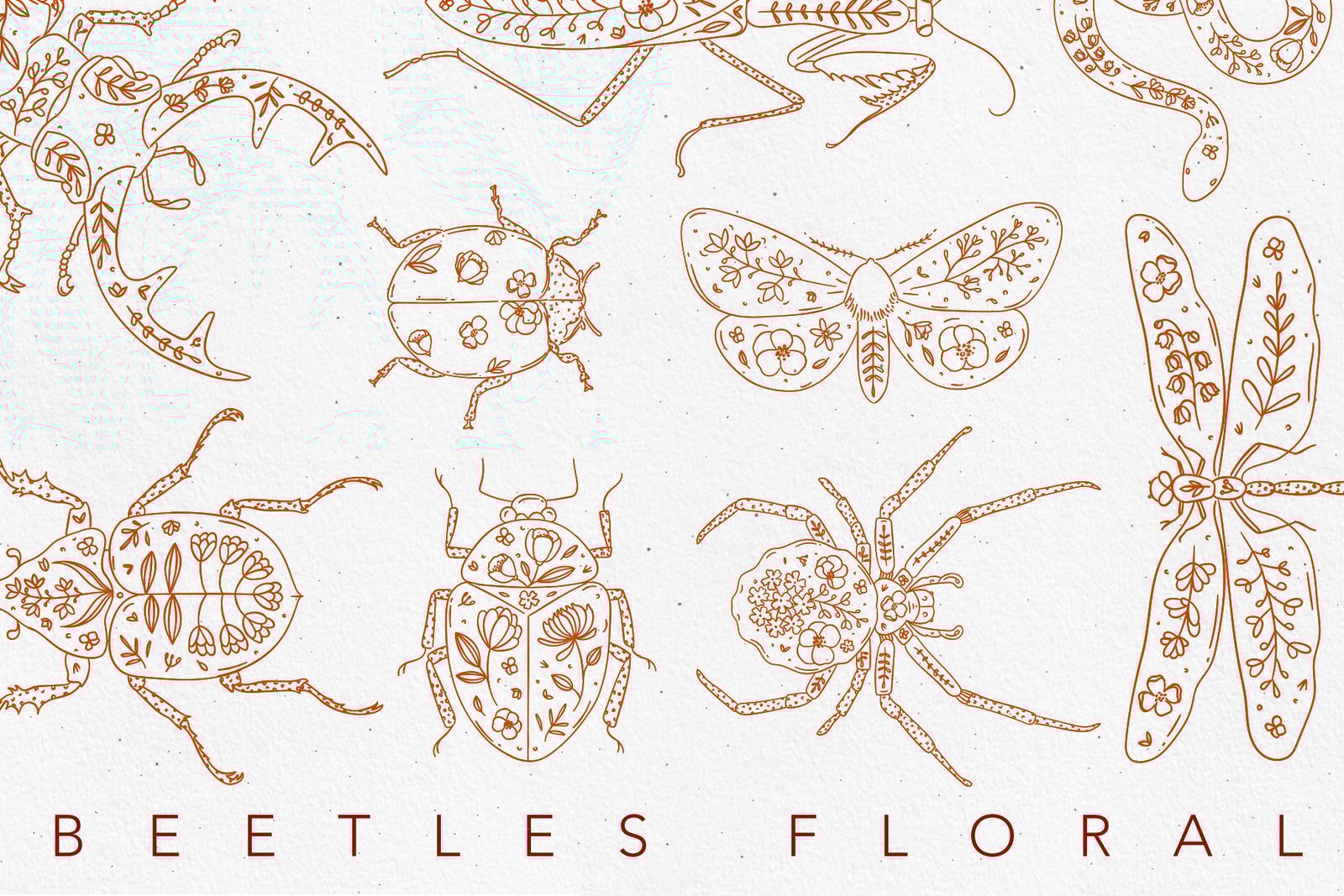 Beetles Floral
