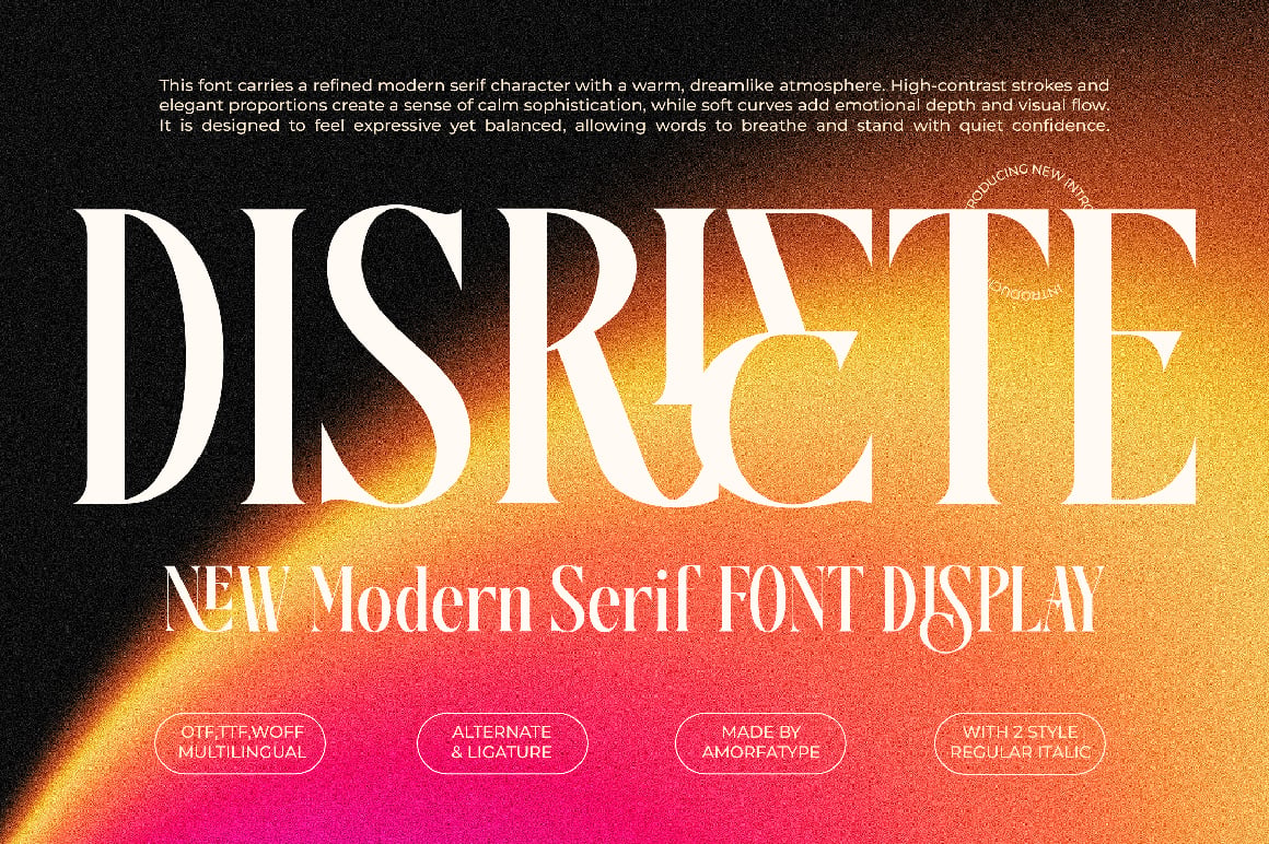 Disriete Modern Serif Display