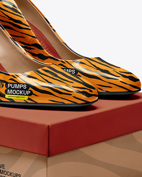 Block Heel Pumps with Shoe Box Mockup