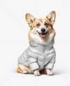 Corgi Wearing a Puffer Jacket Mockup