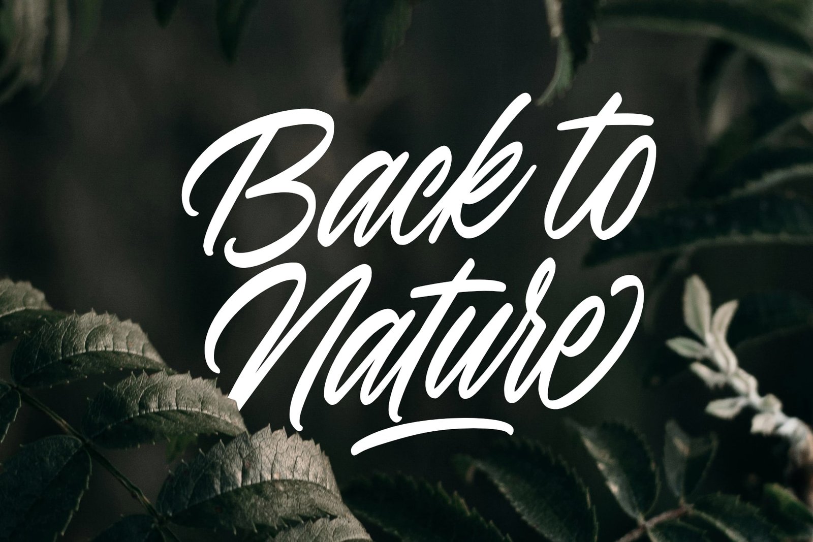 Madeleine Stories Font