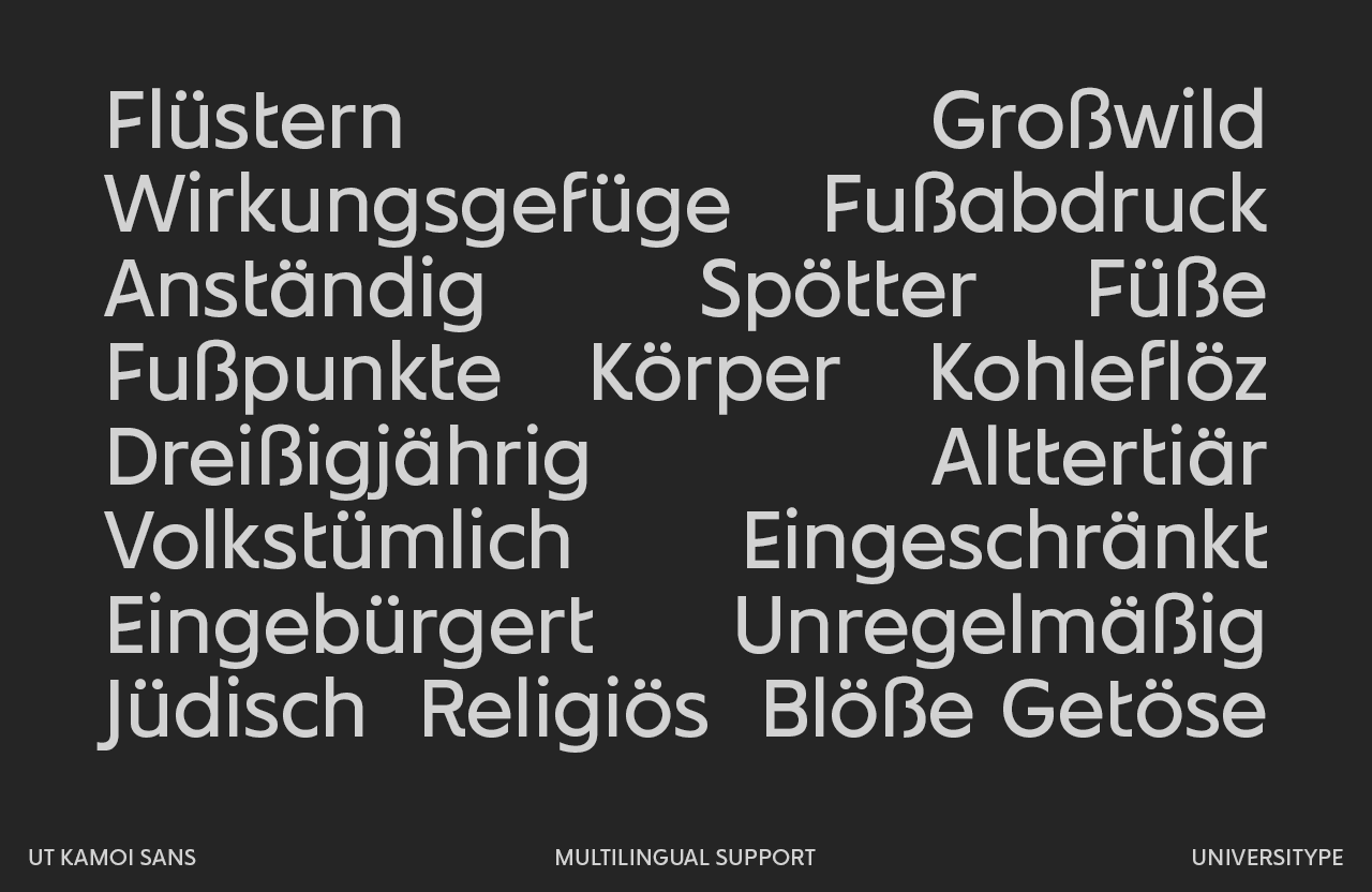 UT Kamoi Sans - A Geometric Sans Serif