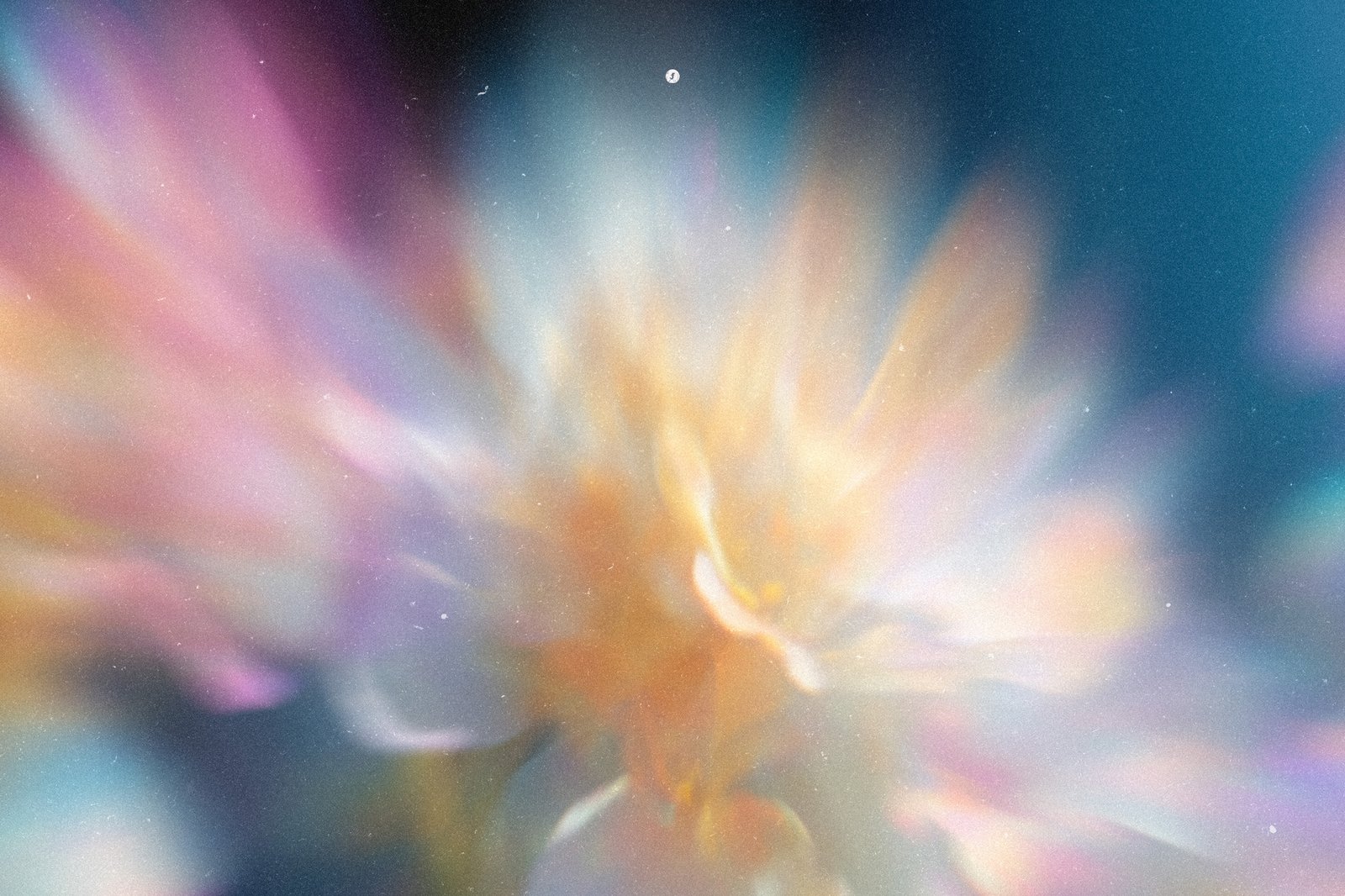 Smeared Flowers Backgrounds