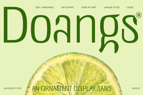 UT Doangs - An Ornament Display Font - Creative Store