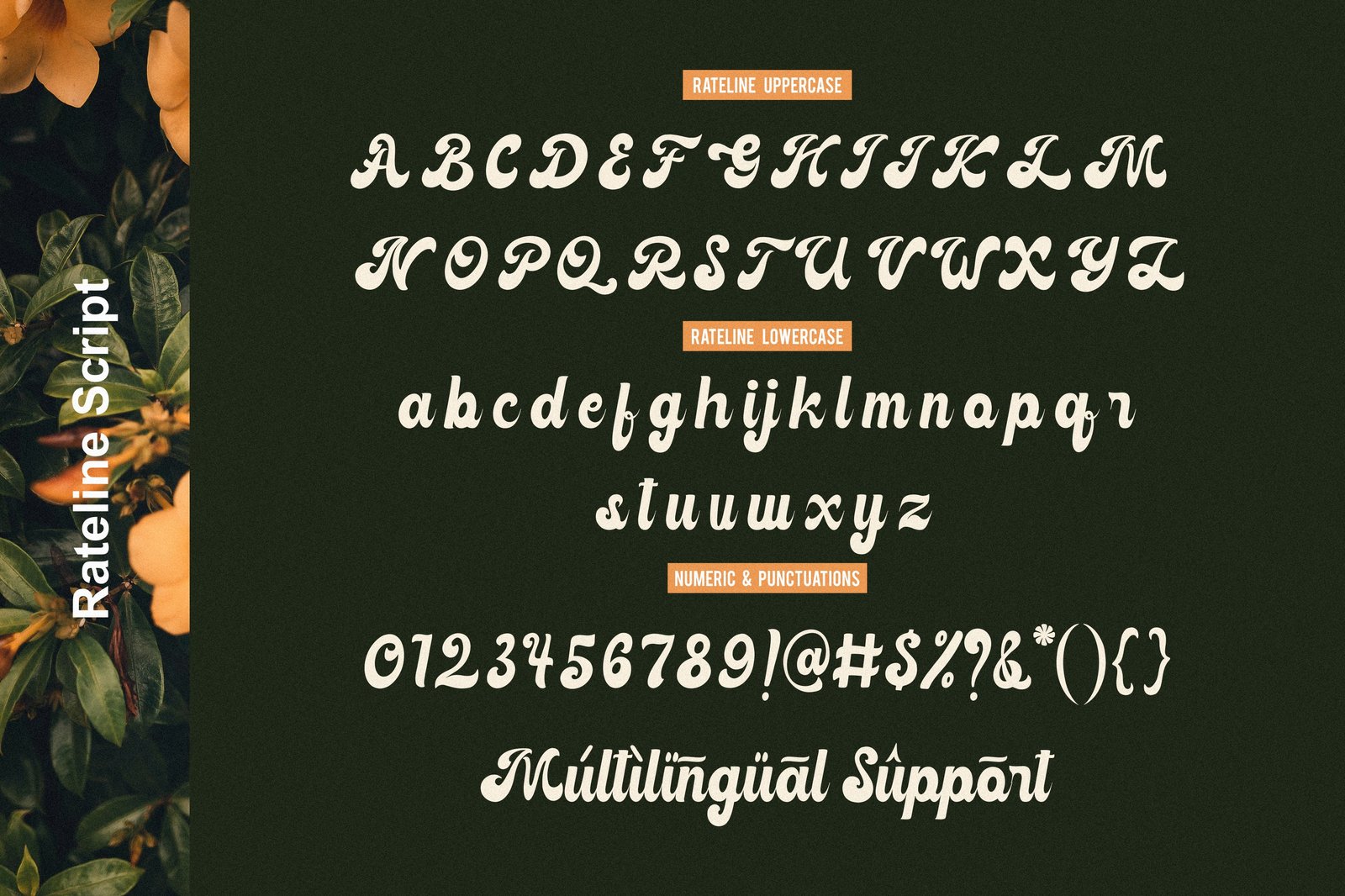 Rateline - Bold Vintage Font