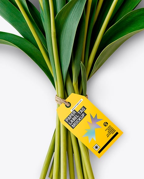 Tulip Bouquet With Hang Tag Mockup