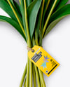 Tulip Bouquet With Hang Tag Mockup