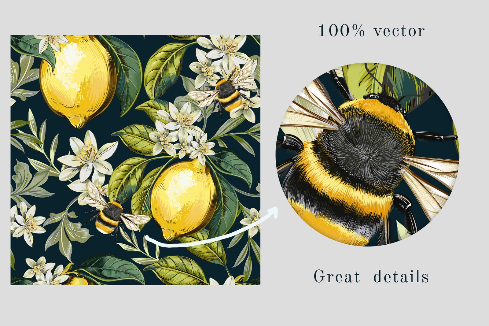 Lemons and Magnolia vector set