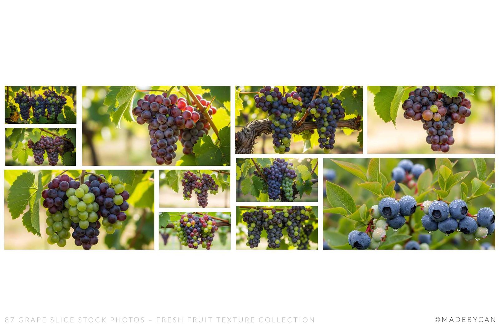 87 Grape Slice Stock Photos – Fresh Fruit Texture Collection