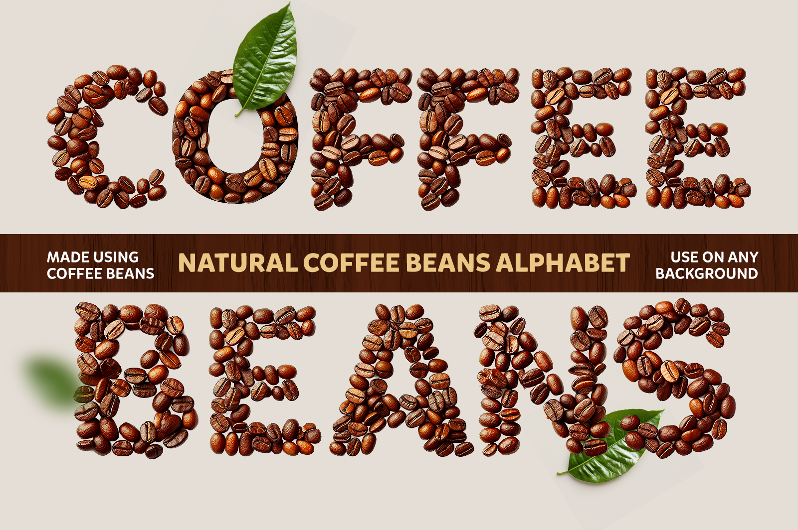 Coffee Beans Type: Geometric Coffee Beans Alphabet
