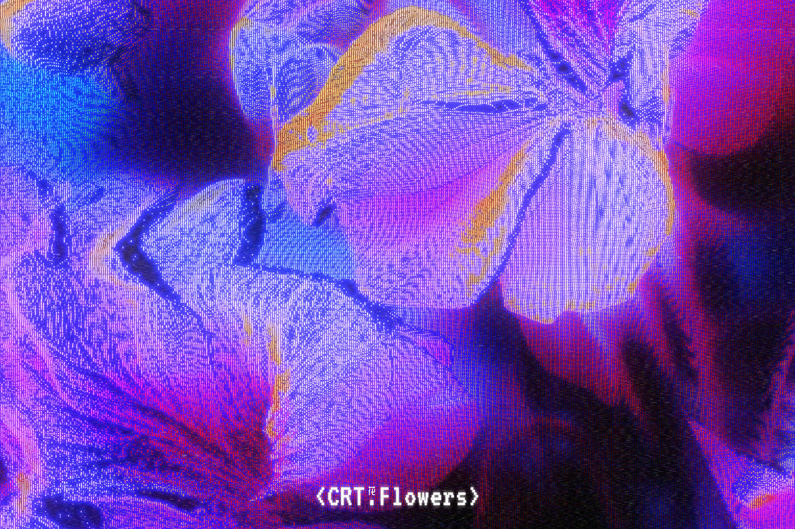 CRT Flowers