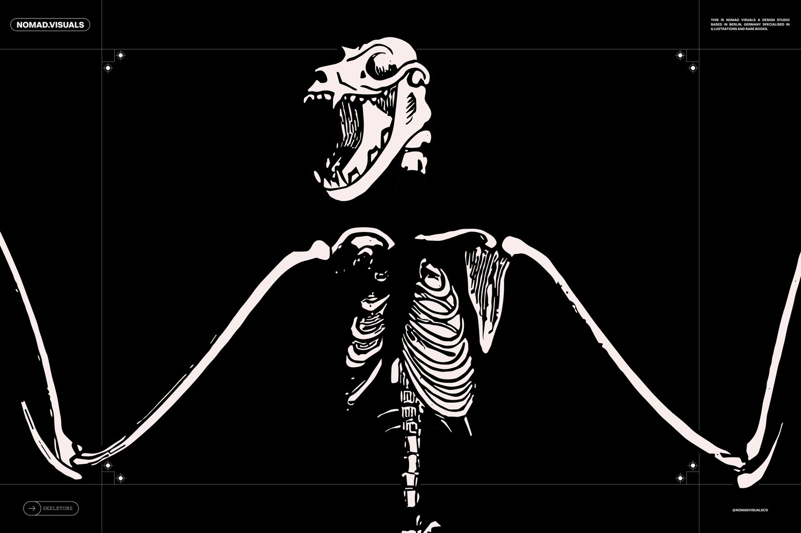 Skeletons &amp; Bones – 30 Antique Illustrations