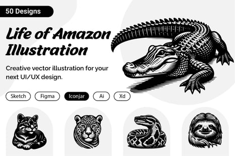 Life of Amazon - Illustrations
