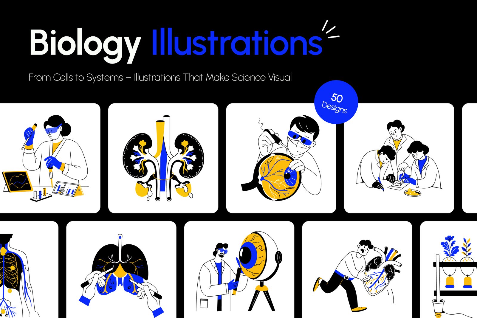 Biology Art Illustration
