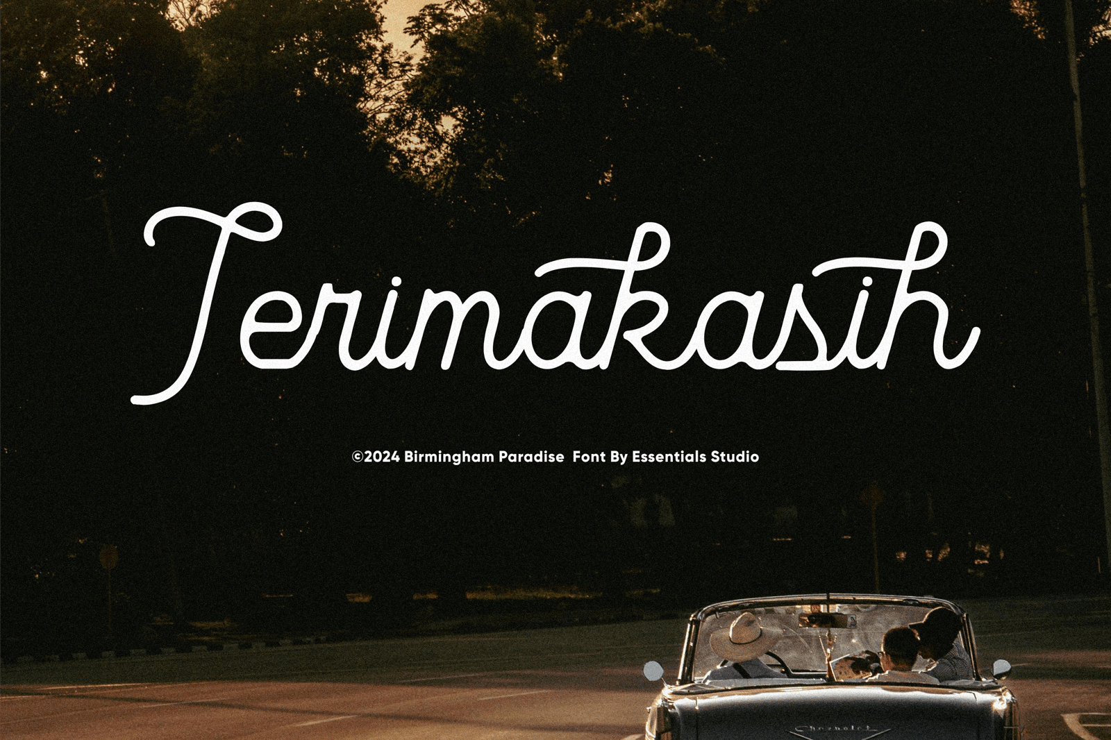 Birmingham Paradise - vintage Monoline Font