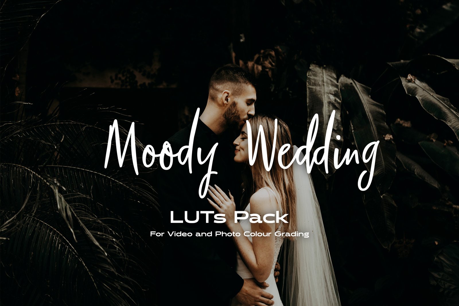 Moody Wedding LUTs - Colour Grading for Videos and Photos