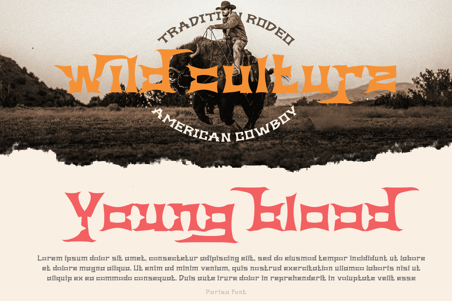 Parisa Vintage Display Font