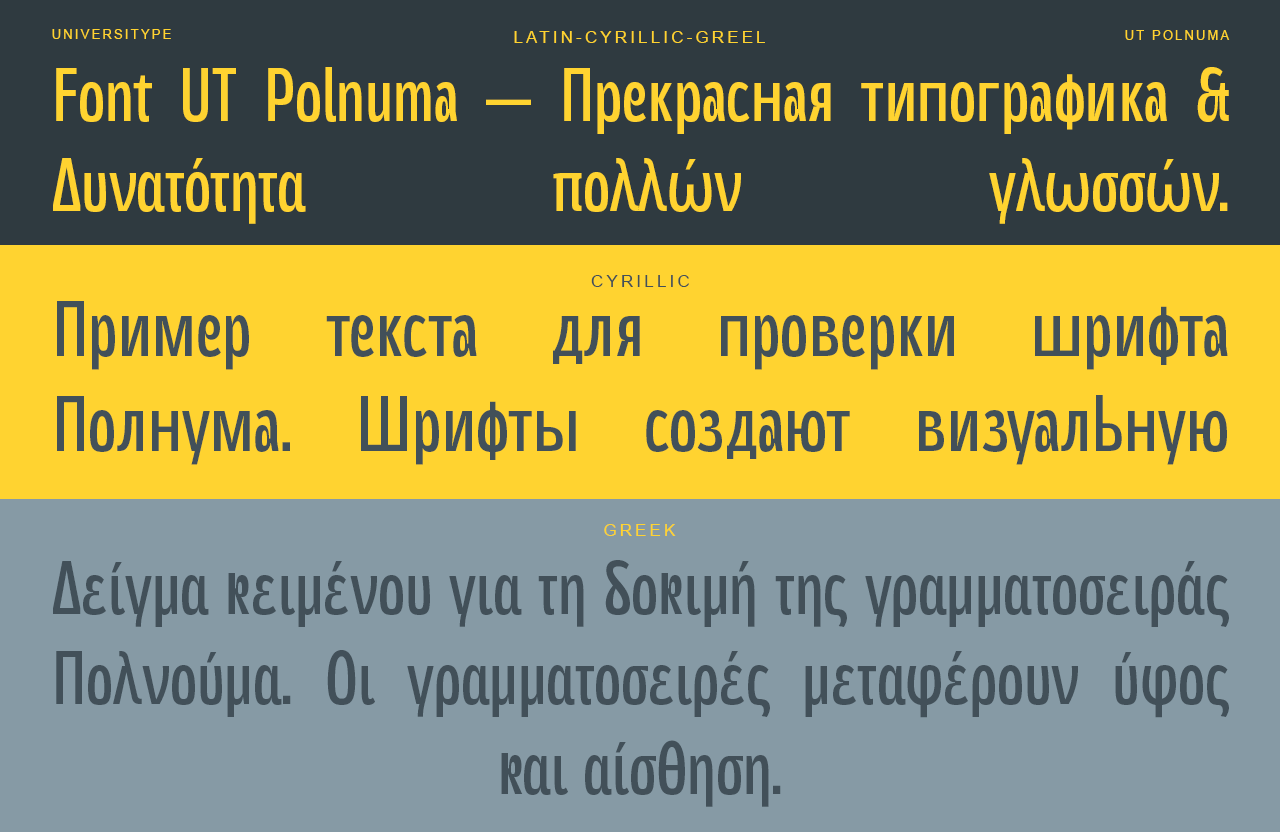 UT Polnuma - A Versatile Sans Serif Font