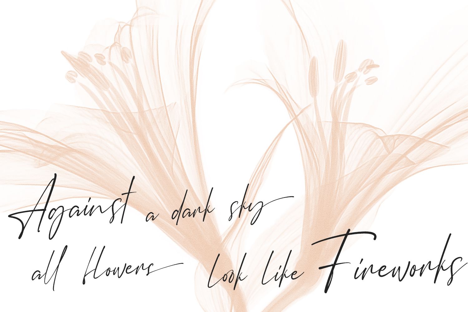 Ceglar – Font Trio Unique Styles