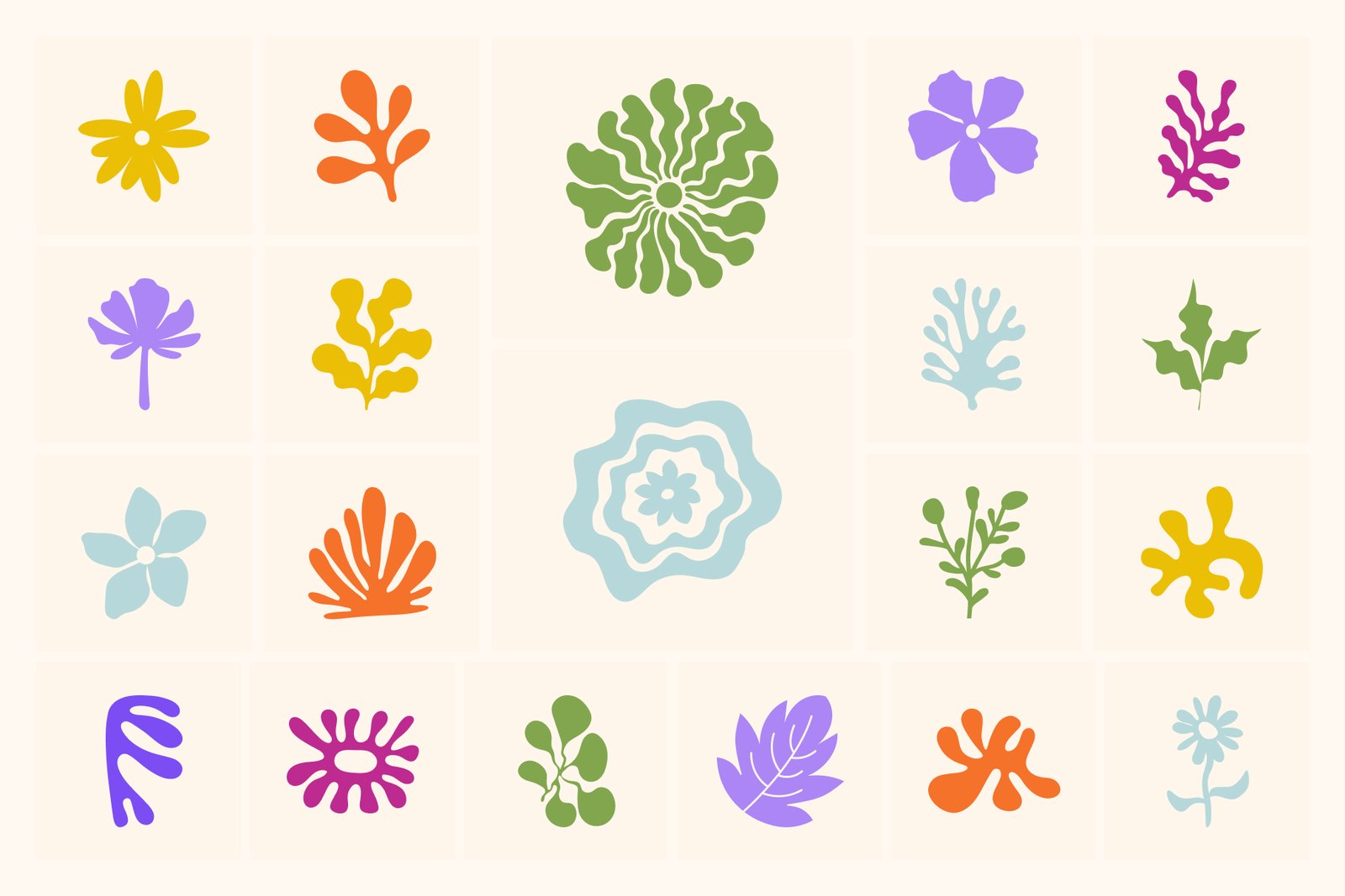Botanical and Flower Vector Set